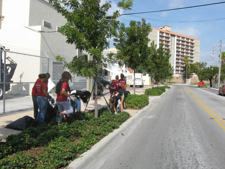 01 26 08  University of Miami volunteers working greenway along North River Drive