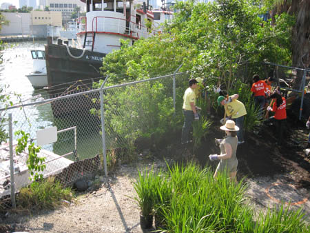 4 26 08 Volunteers planting riverfont tree