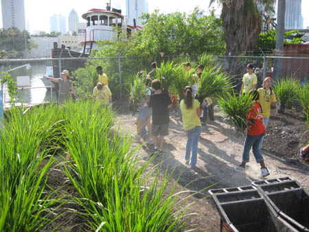 bellsouth 4 26 08 vols with plants and river