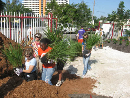 bellsouth 4 26 08 vols with plants and trees